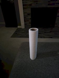 Paper Towel Roll