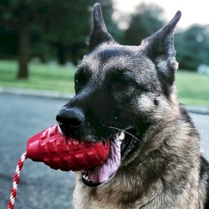 USA-K9 Grenade Shaped Durable Rubber Chew Toy, Treat Dispenser, Reward Toy