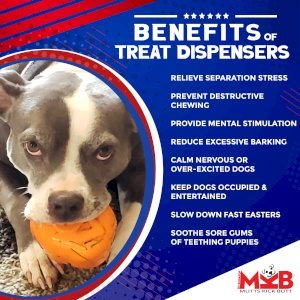 MKB Roasted Turkey Durable Rubber Chew Toy & Treat Dispenser