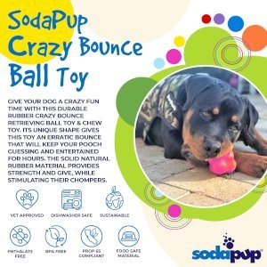 Crazy Bounce Ultra Durable Rubber Chew & Retrieving Toy
