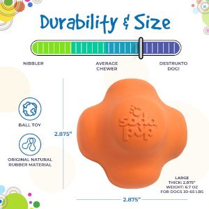 Crazy Bounce Ultra Durable Rubber Chew & Retrieving Toy