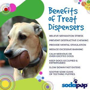 SP Hamburger Durable Rubber Chew Toy & Treat Dispenser