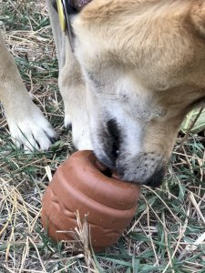 SP Hamburger Durable Rubber Chew Toy & Treat Dispenser
