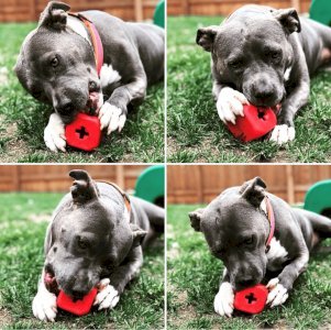 MKB Dice Toy Durable Rubber Chew Toy & Treat Dispenser