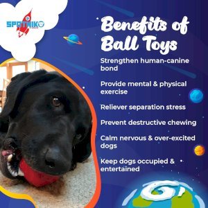 Asteroid Ultra Durable Rubber Chew Toy