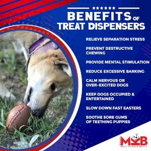 Football Dog Chew Toy & Treat Dispenser