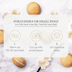 Dog Macarons - Box of 6 (Available in 12 Flavors)