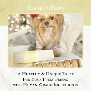 Dog Macarons - Box of 6 (Available in 12 Flavors)