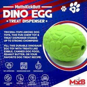 Dinosaur Egg Dog Chew Toy & Treat Dispenser