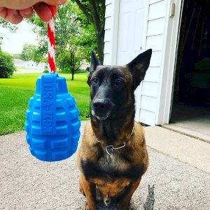 USA-K9 Grenade Durable Rubber Chew Toy, Treat Dispenser, Reward Toy, Tug Toy, and Retrieving Toy
