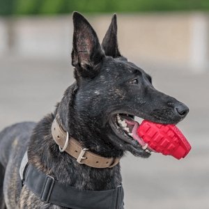 USA-K9 Grenade Durable Rubber Chew Toy & Treat Dispenser