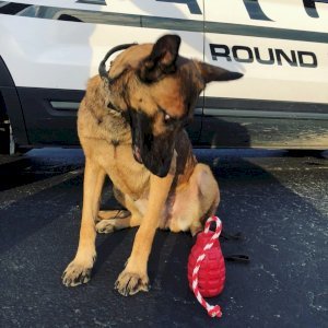 USA-K9 Grenade Durable Rubber Chew Toy, Treat Dispenser, Reward Toy, Tug Toy, and Retrieving Toy