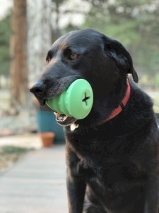 Christmas Tree Dog Toy - Durable Rubber Chew Toy