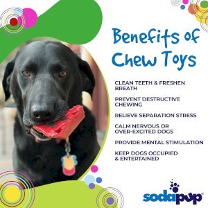 Cherry Pie Nylon Dog Chew Toy for Aggressive Chewers