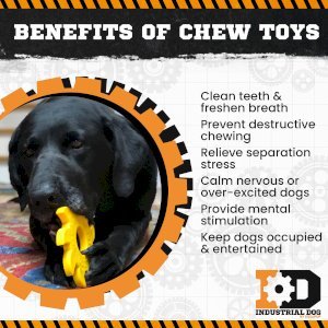 Circular Saw Blade  Ultra Durable Nylon Dog Chew Toy