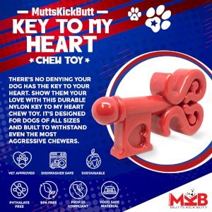 Key to My Heart Ultra Durable Nylon Dog Chew Toy