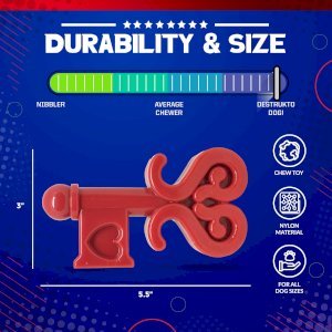 Key to My Heart Ultra Durable Nylon Dog Chew Toy