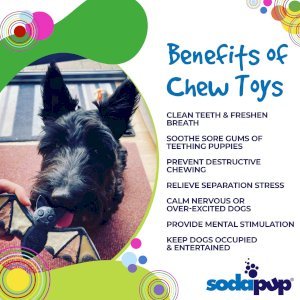 SodaPup Vampire Bat Ultra Durable Nylon Dog Chew Toy for Aggressive Chewers