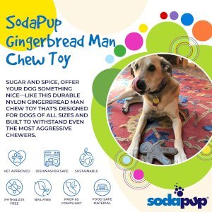 Gingerbread Man Nylon Dog Chew Toy for Aggressive Chewers