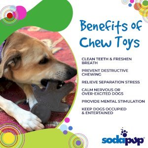 Gingerbread Man Nylon Dog Chew Toy for Aggressive Chewers
