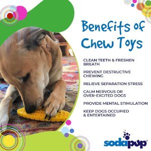 Corn on the Cob Nylon Dog Toy for Aggressive Chewers