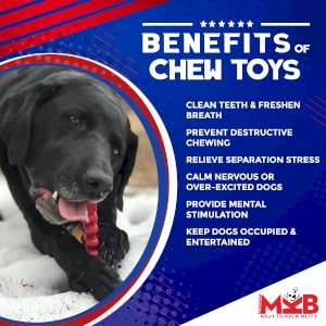 Christmas Tree Nylon Dog Chew Toy for Aggressive Chewers  & FDA Compliant