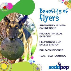 Magnum Bottle Top Flyer Ultra Durable Rubber Retrieving Frisbee