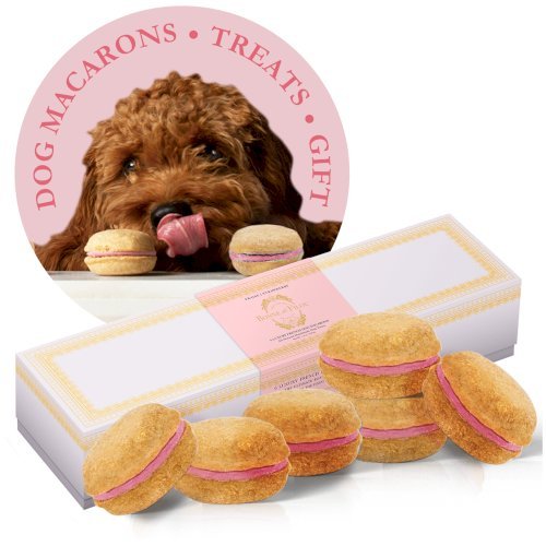 Dog Macarons - Box of 6 (Available in 12 Flavors)