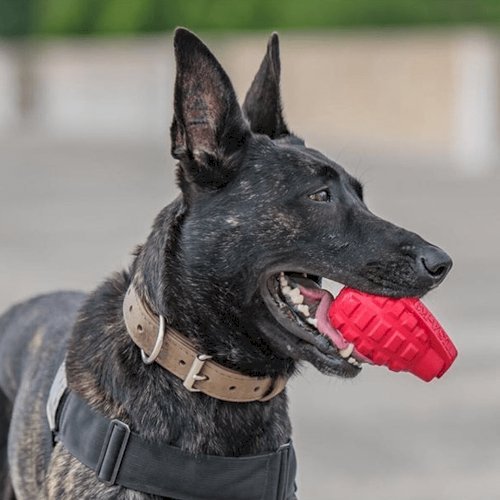 Grenade Shaped eDispenser Durable Dog Chew Toy & Treat Dispenser