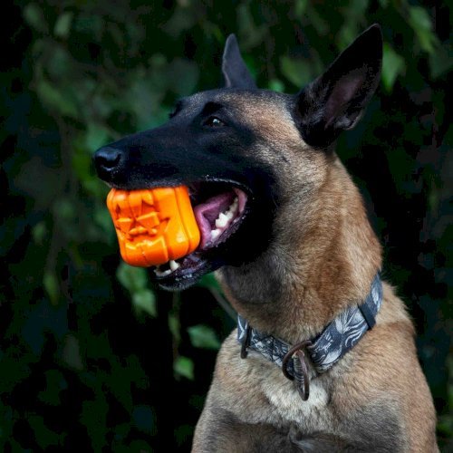 Jack O' Lantern Dog Toy - Durable Halloween Chew Toy for Large Dogs