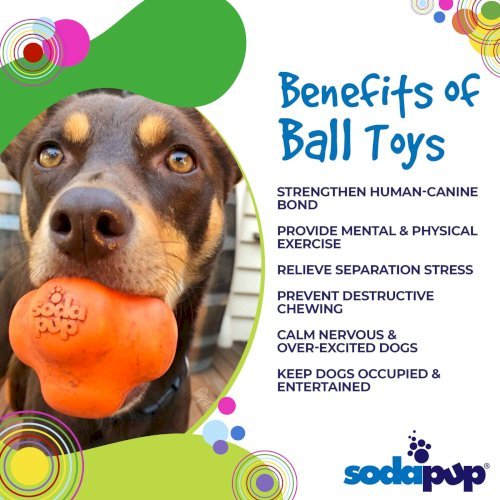 Crazy Bounce Ultra Durable Rubber Chew & Retrieving Toy