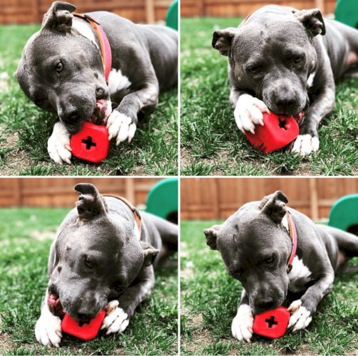 MKB Dice Toy Durable Rubber Chew Toy & Treat Dispenser