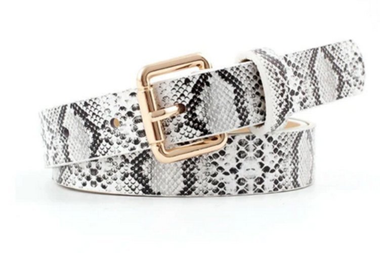 Liz Belt