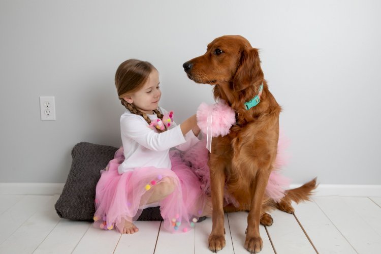 Light Pink Dog Tutu Skirt (XXL)