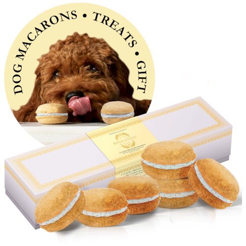 Dog Macarons - Box of 6 (Available in 12 Flavors)