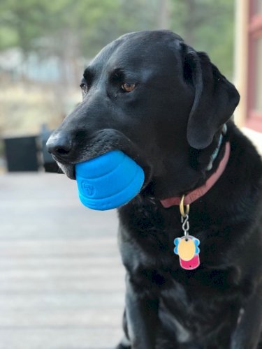 Space Capsule eDispenser - Durable Dog Chew Toy for Aggressive Chewers