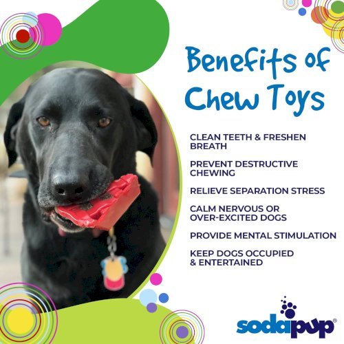 Cherry Pie Nylon Dog Chew Toy for Aggressive Chewers