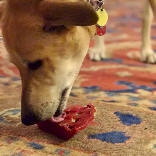 Cherry Pie Nylon Dog Chew Toy for Aggressive Chewers