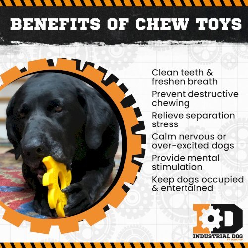 Circular Saw Blade  Ultra Durable Nylon Dog Chew Toy
