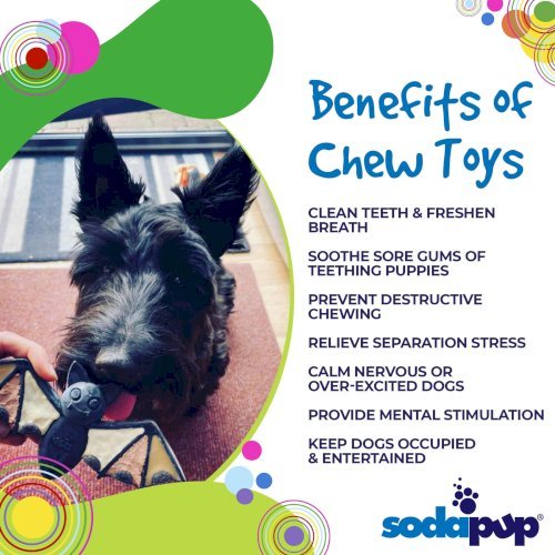SodaPup Vampire Bat Ultra Durable Nylon Dog Chew Toy for Aggressive Chewers