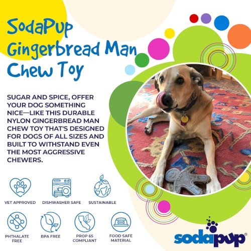 Gingerbread Man Nylon Dog Chew Toy for Aggressive Chewers