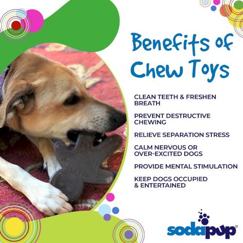 Gingerbread Man Nylon Dog Chew Toy for Aggressive Chewers