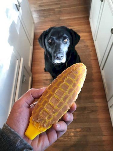 Corn on the Cob Nylon Dog Toy for Aggressive Chewers