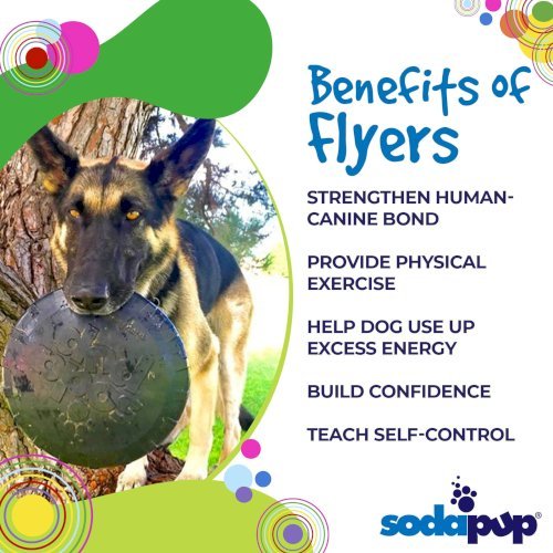 Magnum Bottle Top Flyer Ultra Durable Rubber Retrieving Frisbee
