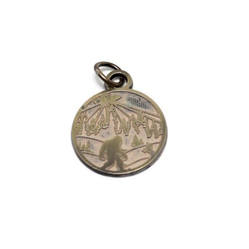 Token Charm Necklace & Charm (Comes in 27 Different Designs)